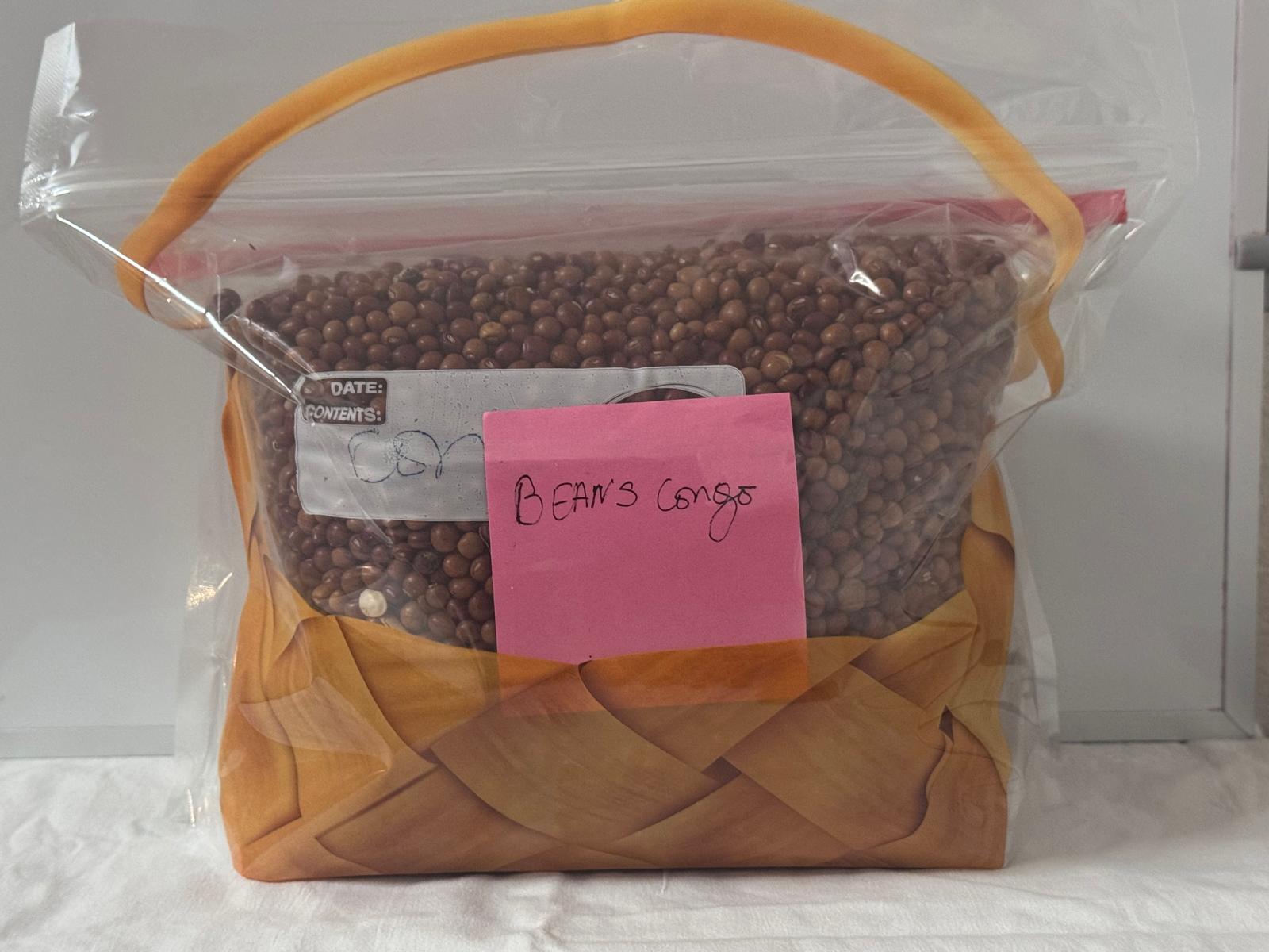 Haitian Beans Kongo